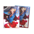 Supergirl - Superman Series - Brushed Art Sleeves Standard Size For Sale